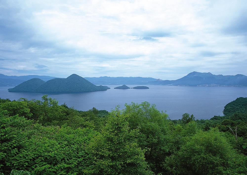 Karton Kutular